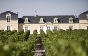 Les vins fins du Château de Rouillac