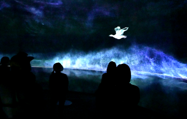 La Société d’histoire du Lac-Saint-Jean et cadabra lancent la toute nouvelle expérience immersive 360 degrés La mer intérieure