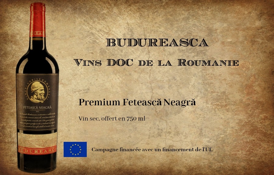 Le Budureasca Premium Fetească Neagră 2015