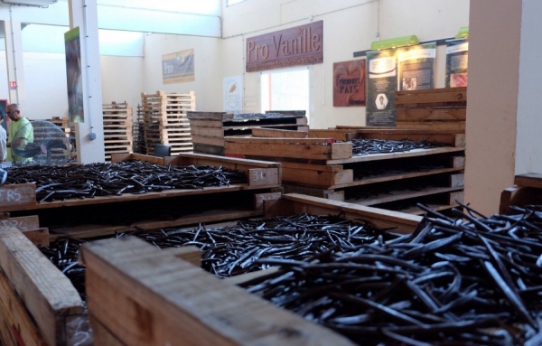 L&#039;agritourisme, une alternative au tourisme balnéaire