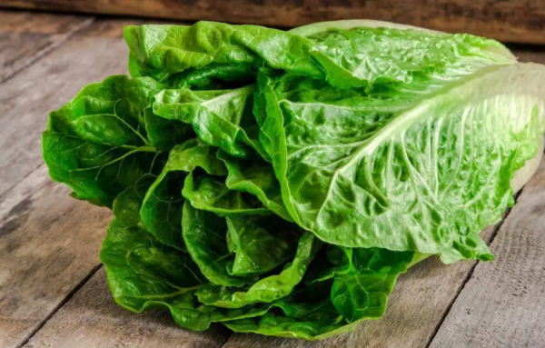 Les restaurateurs doivent composer avec une importante pénurie de laitues