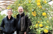Vyckie Vaillancourt, première productrice d’agrumes exotiques au Québec