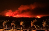 Commentaires de ‘California Wines’ sur les incendies