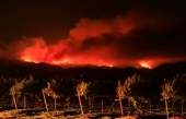 Commentaires de ‘California Wines’ sur les incendies