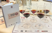Concours MASTER OF PORT – CANADA 2025-2026. Et les candidats pour les quarts de finale sont...