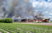 Plus de 1000 porcs seraient morts dans un incendie majeur à Saint-Hyacinthe