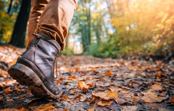 Les données d&#039;octobre 2019 pour les arrivées internationales au Canada