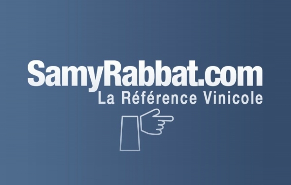 Les accomplissements de SamyRabbat.com depuis dix ans auprès des professionnels des communautés que nous desservons