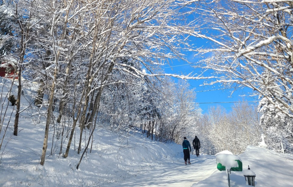 Paysage hivernal &agrave; Lac-Beauport, Qu&eacute;bec