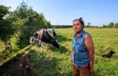 Faille de sécurité chez Holstein Canada: 3000 producteurs de lait québécois sont touchés