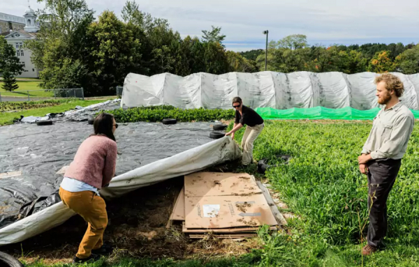 La coopérative Les Choux Gras, un exemple de permaculture