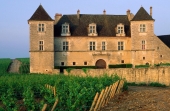 La Bourgogne veut sauver ses murets et ses clos