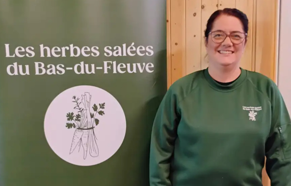 Le Bas-du-Fleuve en pot