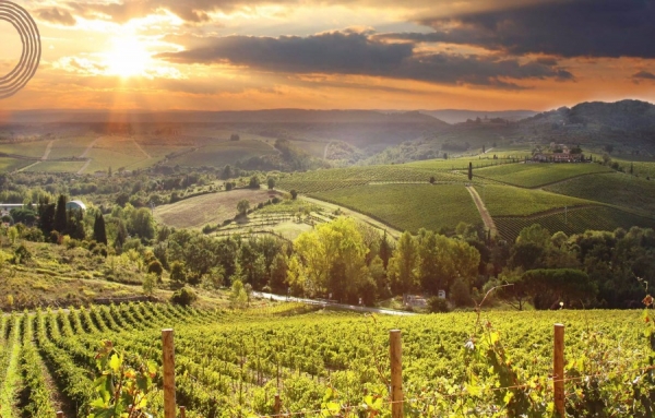 Les vins fins d’Ethica Wines