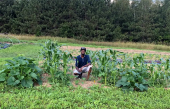 Les Jardins Lakou, pour contrer l&#039;insécurité alimentaire des membres de la communauté noire