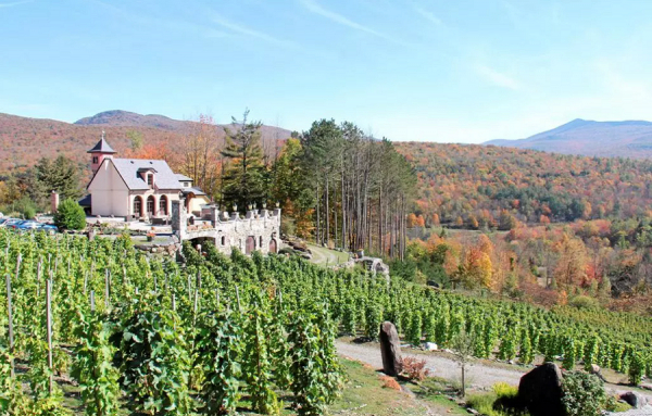 Le vignoble Domaine Dumont Chapelle St-Agnès a été vendu