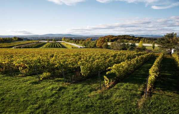 Liste complète des vignobles québécois
