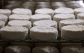 Le camembert normand au cœur d&#039;un âpre débat