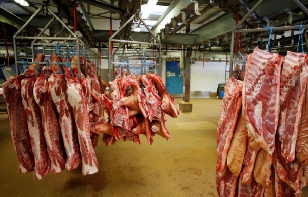 Les autorit&eacute;s et les concern&eacute;s dans l'agroalimentaires ripostent face aux extr&eacute;mistes de toutes cat&eacute;gories