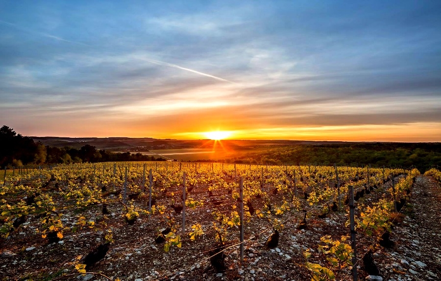 Les adorables Champagnes Charles Collin