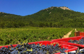 Nouveauté : Héritage Côtes de Provence rouge 2016 - L&#039;Allamande