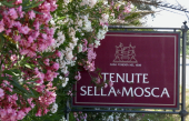 Sella &amp; Mosca, l’un des plus grands vignobles d’Europe