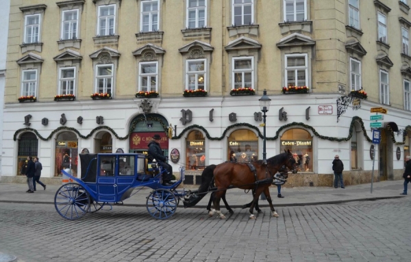 Vienne