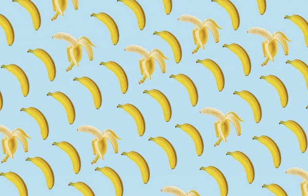 La «bananapocalypse» est-elle à nos portes?