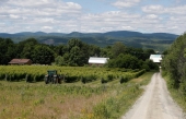 Le Québec comporte sept régions viticoles distinctes, définies selon le climat et la géologie