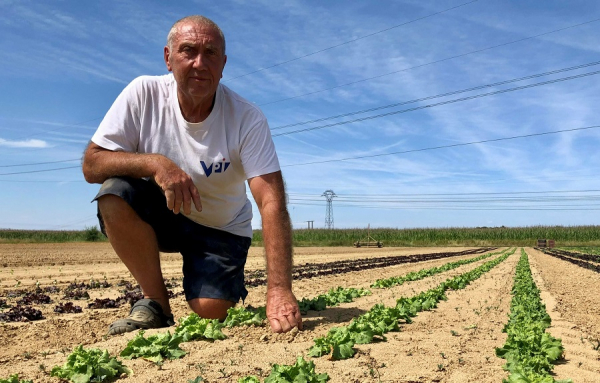 Cet agriculteur parvient à faire pousser des légumes sans une goutte d&#039;eau