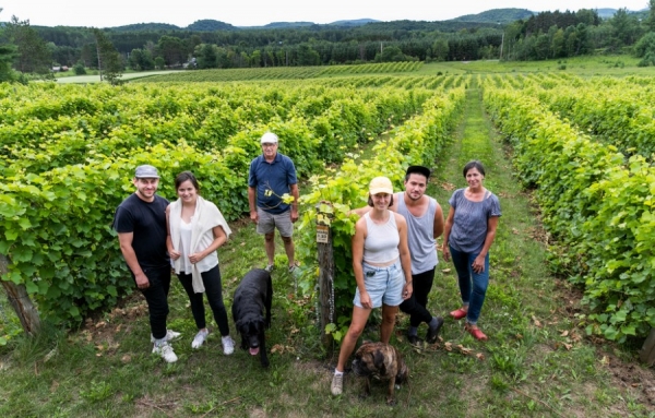 Fragments, vignoble biologique familial très prometteur situé à Ripon