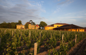 Bordeaux - Le Château Lafon-Rochet à Saint Estèphe devrait changer de main