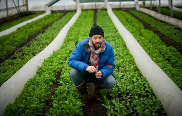 Le maraîchage nordique : oui, la production de légumes en hiver est possible au Québec