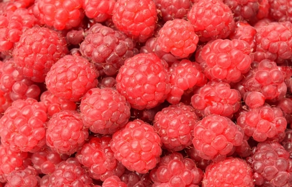 Framboises contamin&eacute;es: des centaines de malades au Qu&eacute;bec