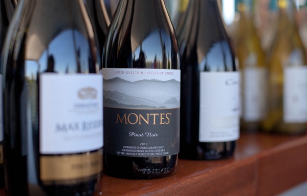 Les vins du Chili, quelle réussite!