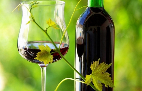 Les vrais chiffres du bio en France