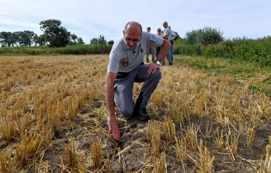 France – La sécheresse, provoquée ou non, accule des milliers de personnes à la faillite dans l&#039;agriculture