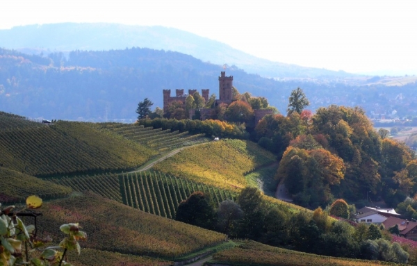 Concours des vins allemands 2016 à l’ITHQ