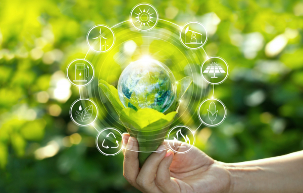 Ulysse Beaujeux recherche un emploi dans le domaine de l&rsquo;environnement et du d&eacute;veloppement durable