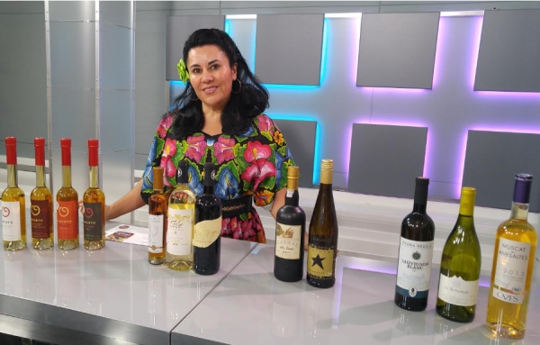 Un aper&ccedil;u de l&rsquo;histoire du vin