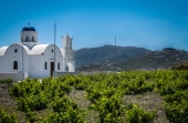 L&#039;ascension des vins grecs