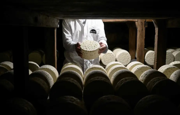 Le roquefort célèbre les 100 ans de son appellation d’origine