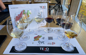 Les vins du Tejo dévoilent un 4ᵉ terroir: Serras, une nouvelle dimension pour cette région portugaise viticole en plein essor