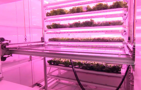 Océan Vert: un pas de plus vers l&#039;autonomie alimentaire du Québec