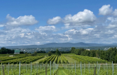 Retour sur la journée découverte des vins du Québec