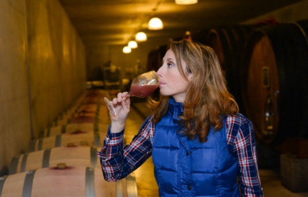 Un diplôme unique en France: «Vers le terroir par la dégustation géosensorielle»