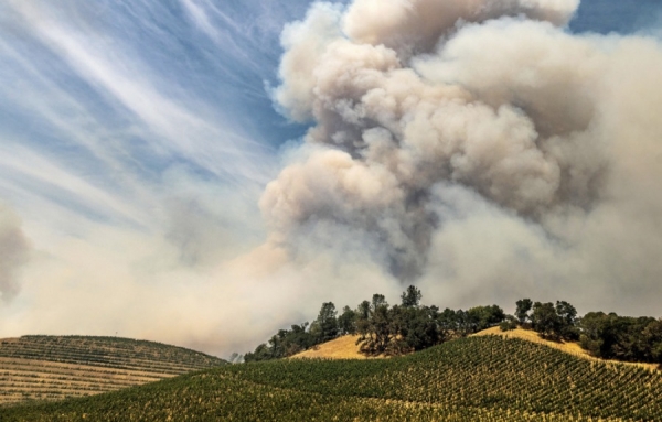 En Californie, le risque de goût de fumé dans le vin n’a jamais été aussi élevé