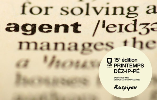 Les agences participant au PRINTEMPS D&Eacute;Z-IP-P&Eacute; 2025