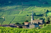 La Cité des vins et des climats de Bourgogne