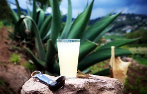 Du pulque à la tequila